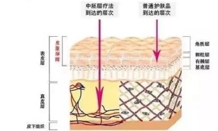 才是SK2+HR+Lamer組成的王炸！