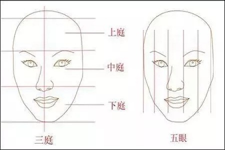 影響翹鼻較重要的地方。