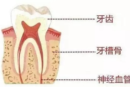 做牙齒矯正 ，真的要趁早！