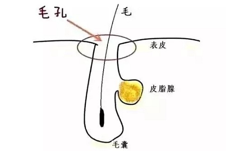 如何在炎熱的夏天，做清爽白凈的小姐姐？